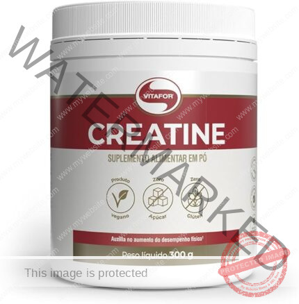 Vitafor - Creatine Creatina Monohidratada - 300g